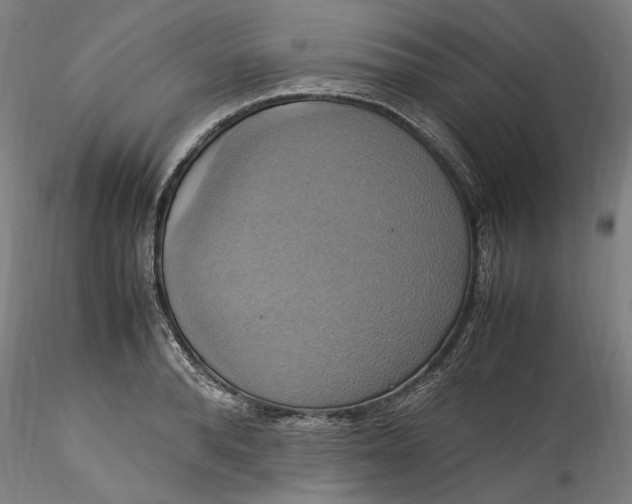 X0000115560896200911271454