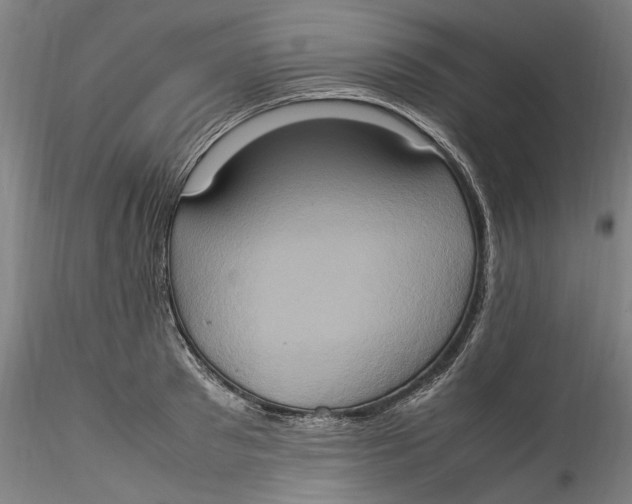 X0000115560897200911271454