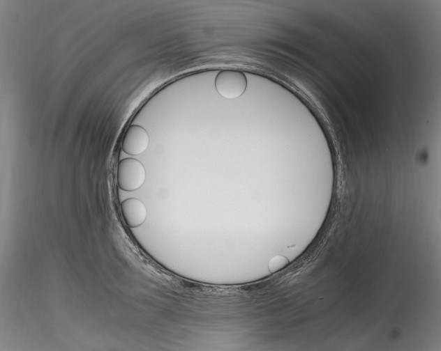 X0000115560899200911271454