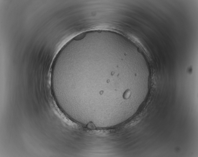 X0000115560900200911271454