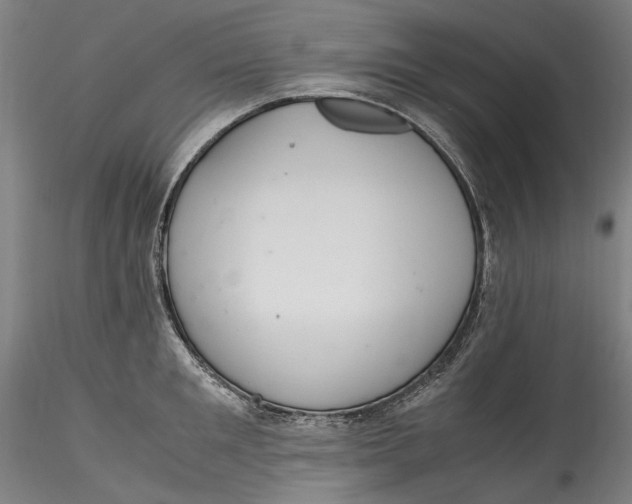 X0000115560901200911271454