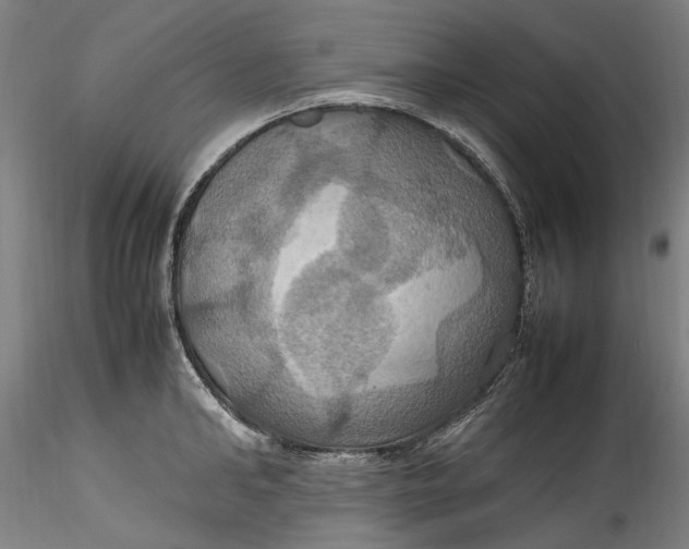 X0000115560902200911271454