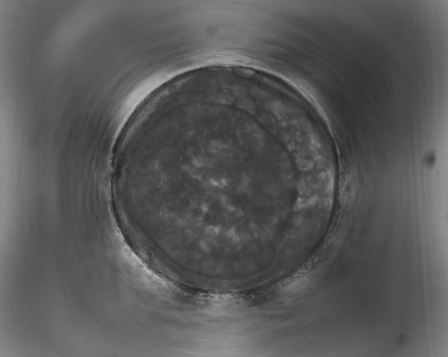 X0000115560903200911271454