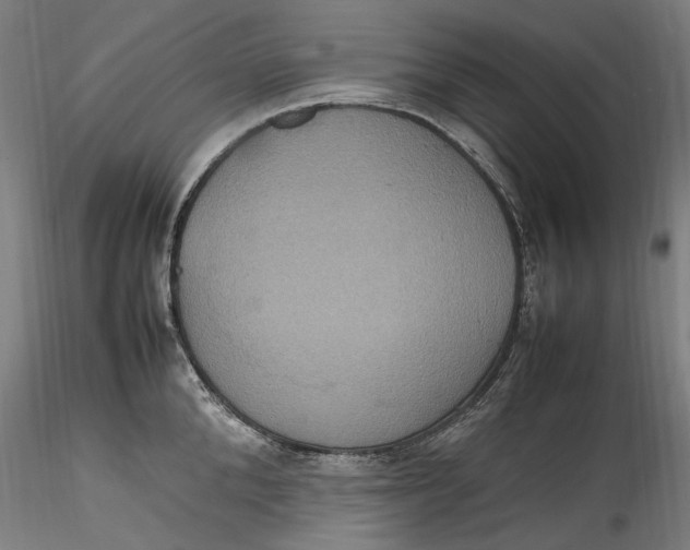 X0000115560904200911271454