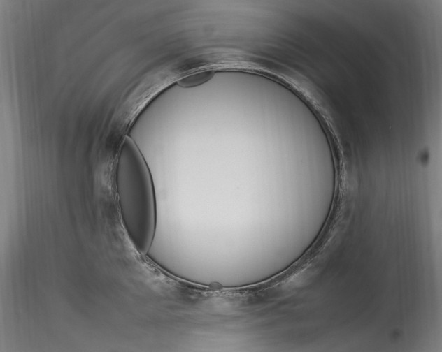 X0000115560905200911271454