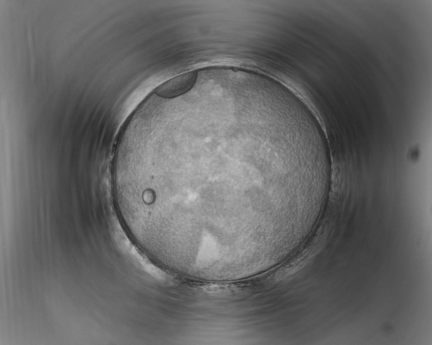 X0000115560906200911271454