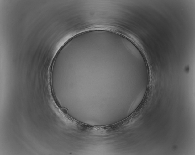 X0000115560907200911271454