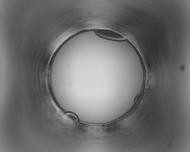 X0000115560909200911271454