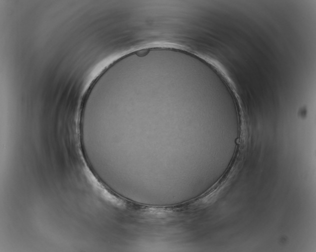 X0000115560910200911271454