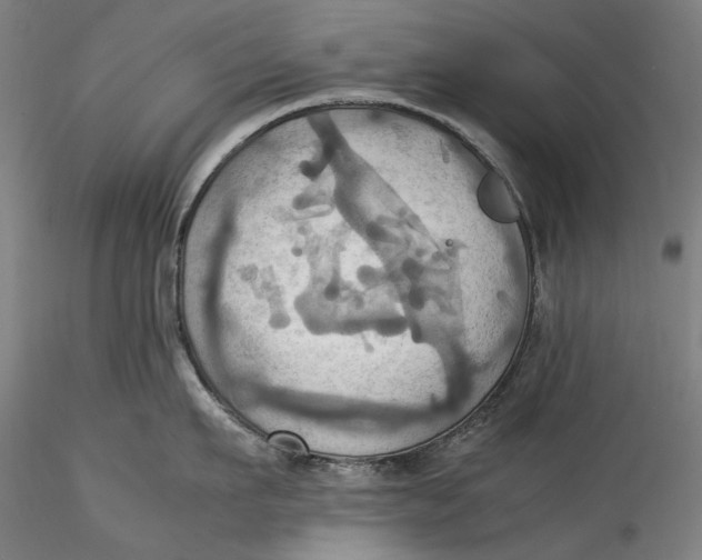 X0000115560911200911271454