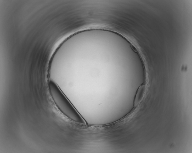 X0000115560912200911271454