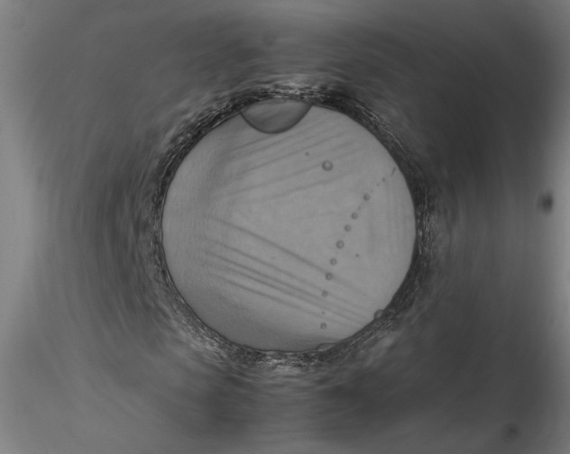 X0000115560913200911271453