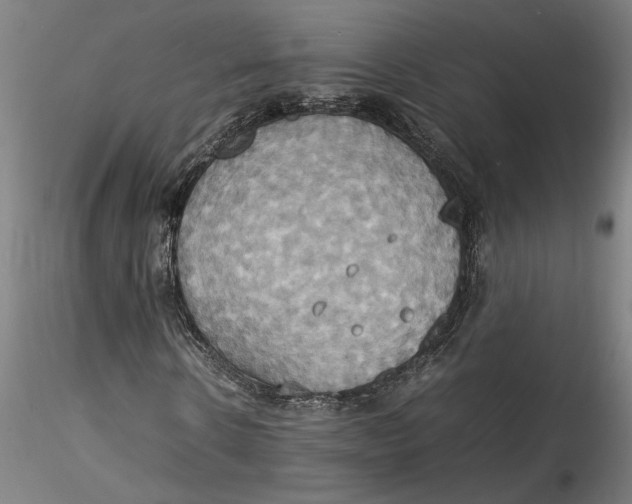 X0000115560914200911271453