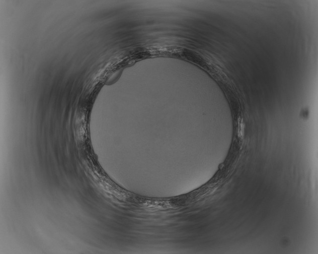 X0000115560915200911271453