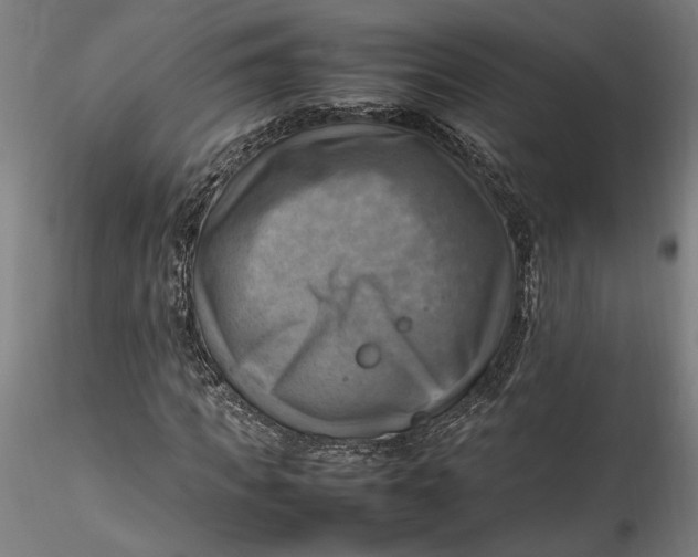 X0000115560917200911271453