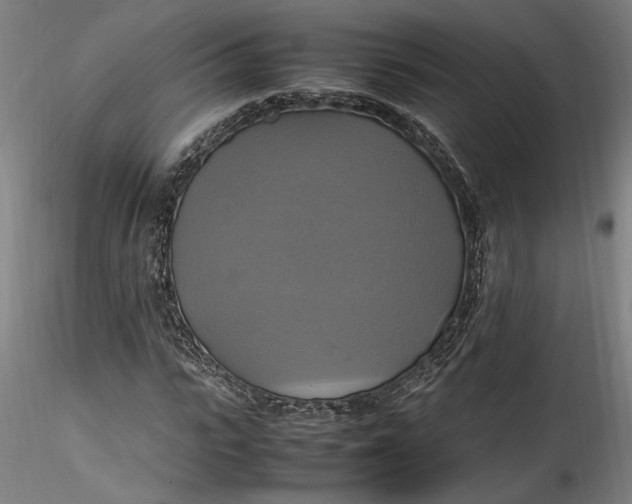 X0000115560919200911271453