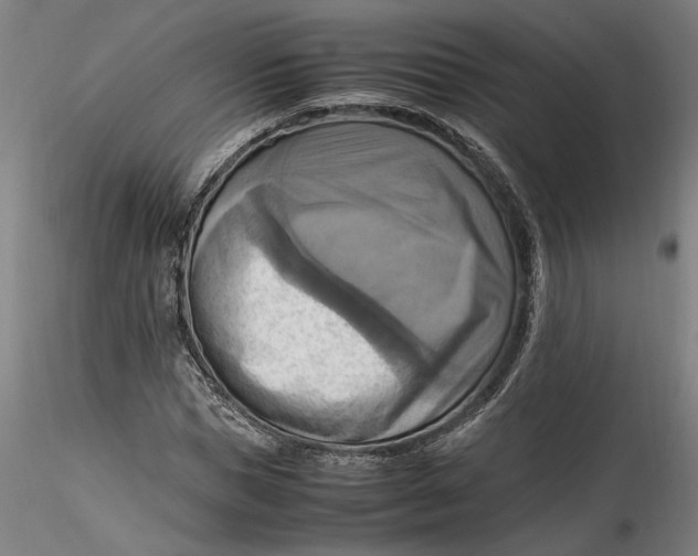 X0000115560921200911271453