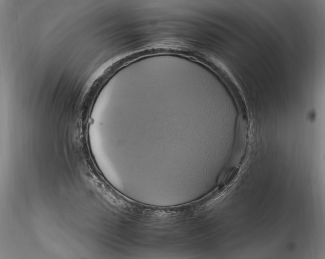 X0000115560923200911271453