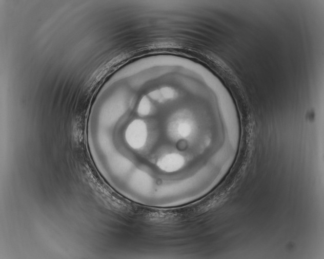 X0000115560929200911271453