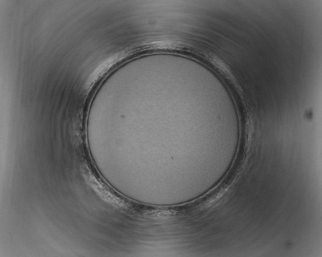 X0000115560930200911271453