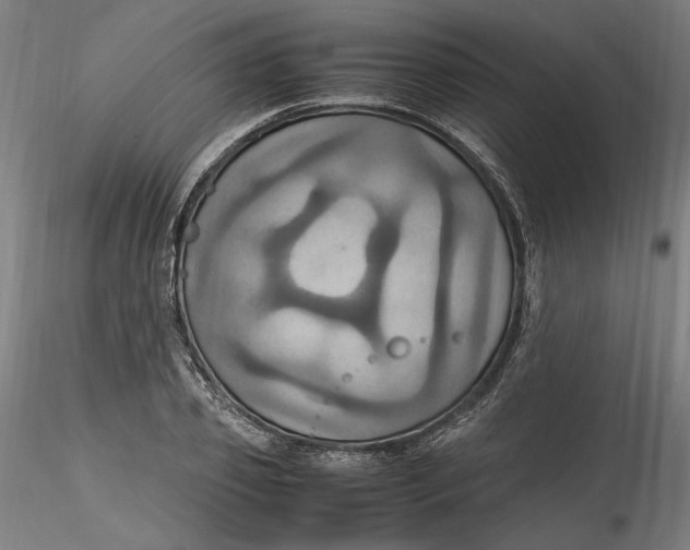 X0000115560933200911271453