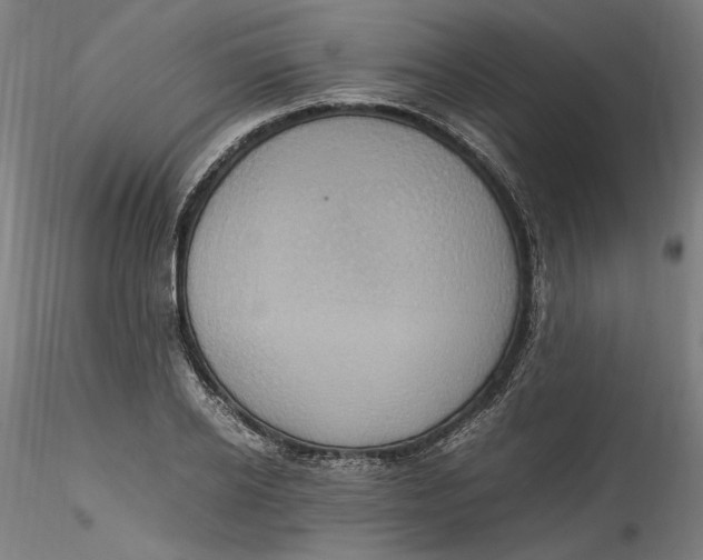 X0000115560934200911271453