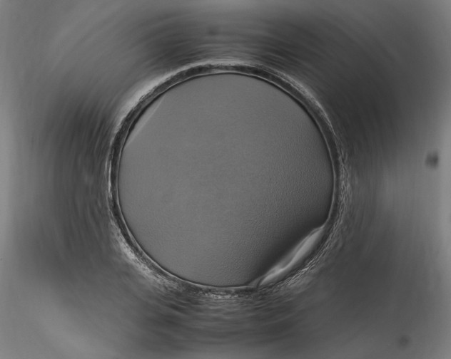 X0000115560935200911271453