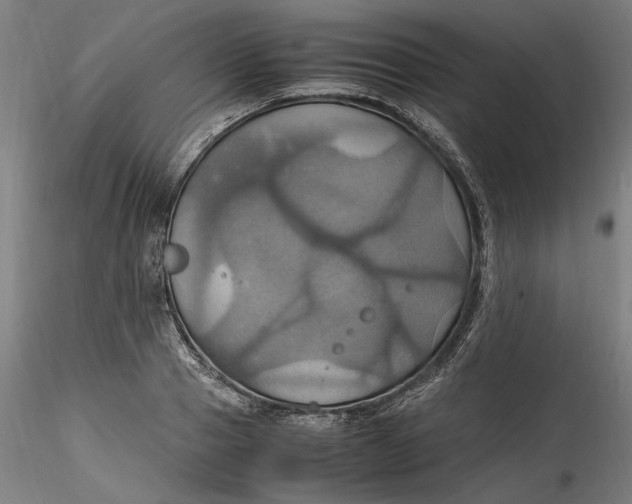 X0000115560937200911271453