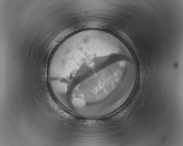 X0000115560938200911271454