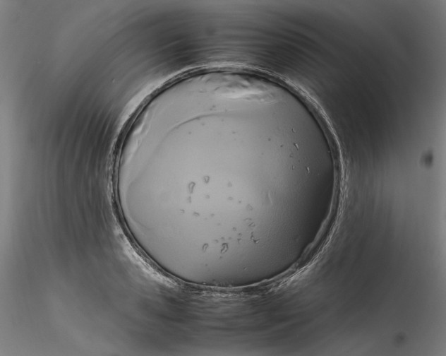 X0000115560941200911271454