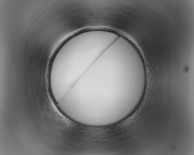 X0000115560943200911271454