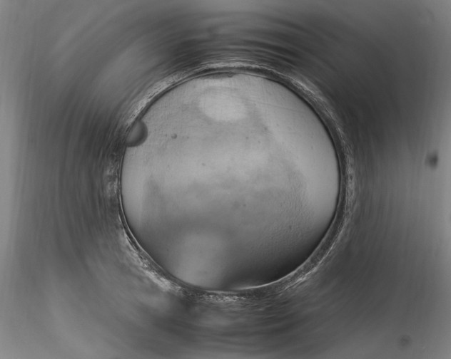 X0000115560945200911271454