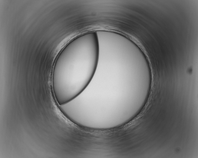 X0000115560946200911271454