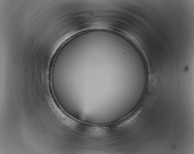 X0000115560947200911271454