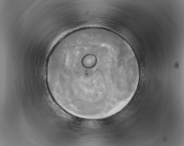 X0000115560950200911271454