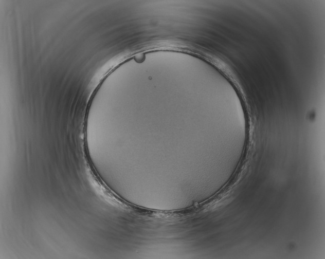 X0000115560954200911271454