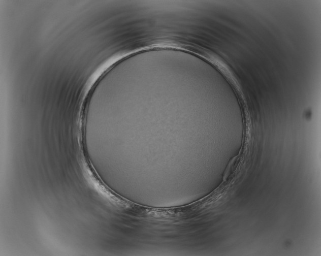 X0000115560955200911271454