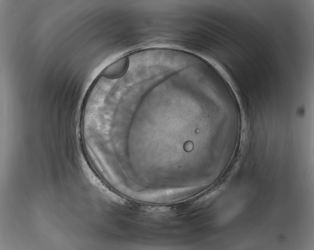 X0000115560957200911271454