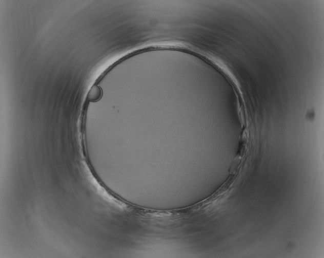 X0000115560959200911271454