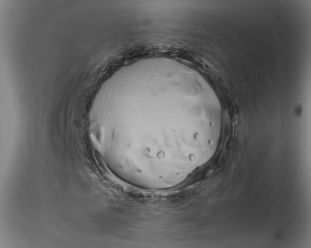 X0000115560961200911271453