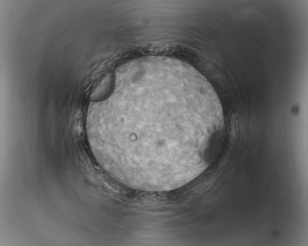 X0000115560962200911271453