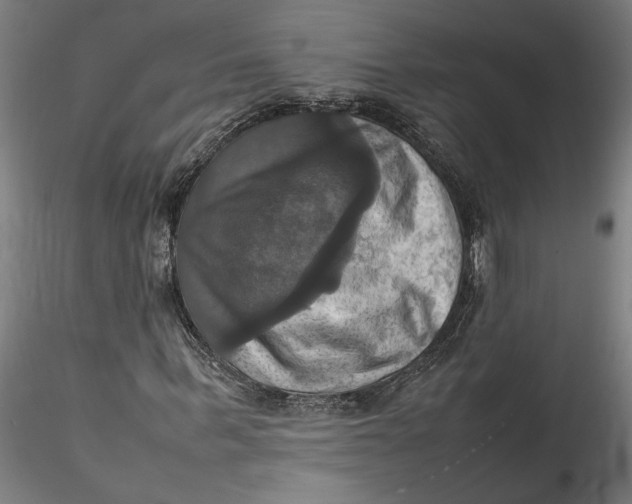 X0000115560963200911271453