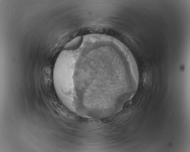 X0000115560964200911271453