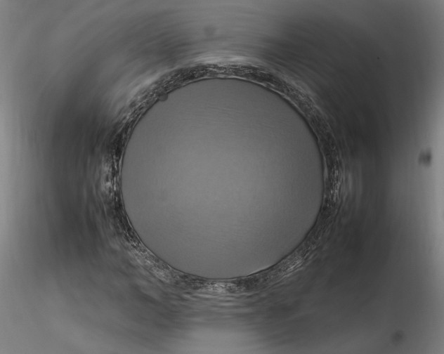 X0000115560966200911271453