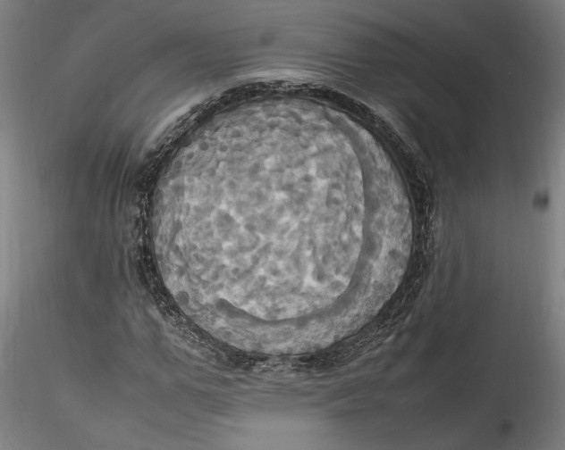 X0000115560967200911271453