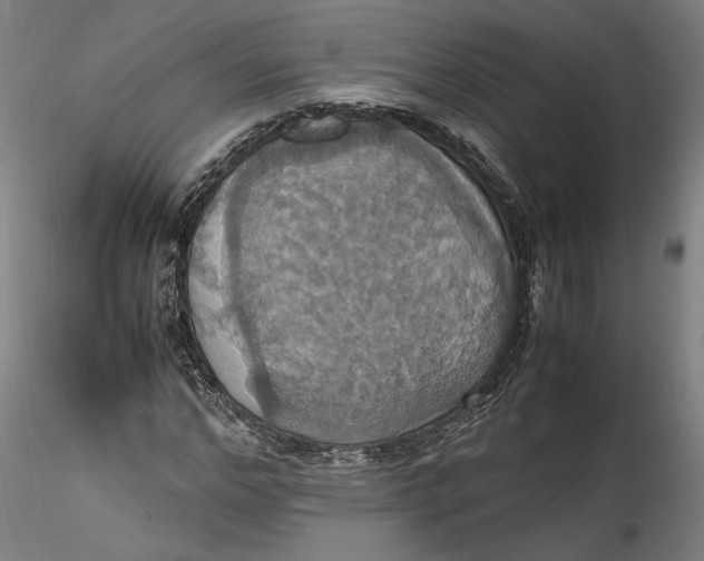 X0000115560968200911271453