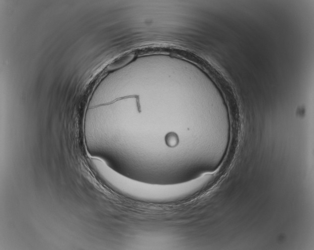 X0000115560969200911271453