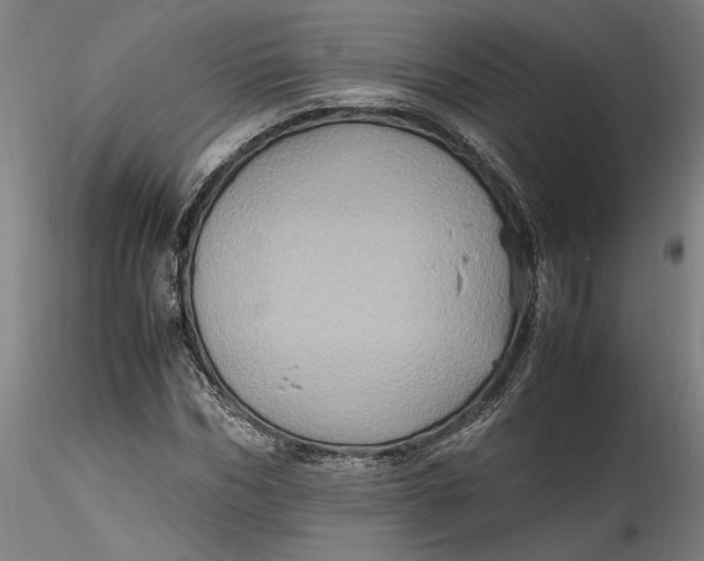 X0000115560970200911271453