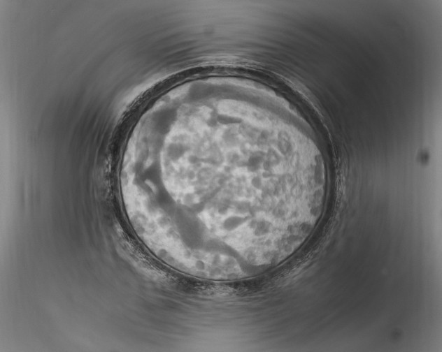 X0000115560971200911271453