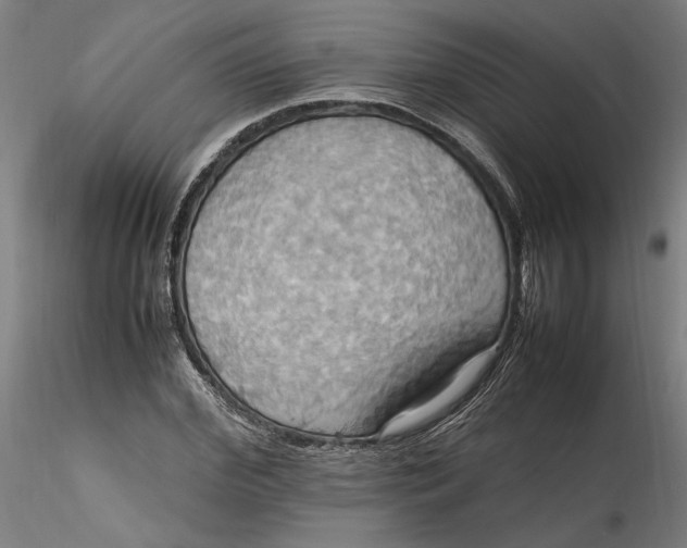 X0000115560972200911271453